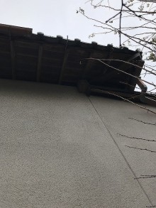 雨樋