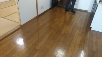 P_20181111_111023-columns2