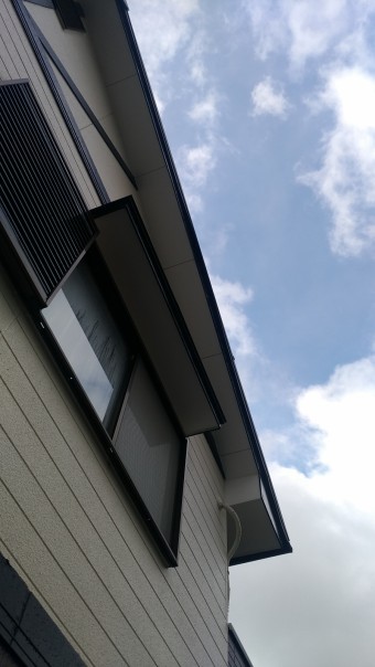 P_20190402_085825-columns2