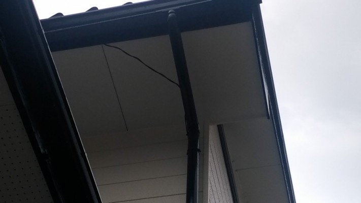 P_20190402_090231-columns1